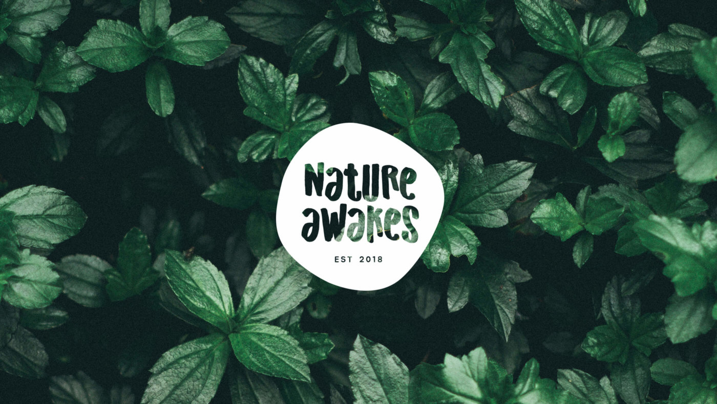 Nature awakes Logo