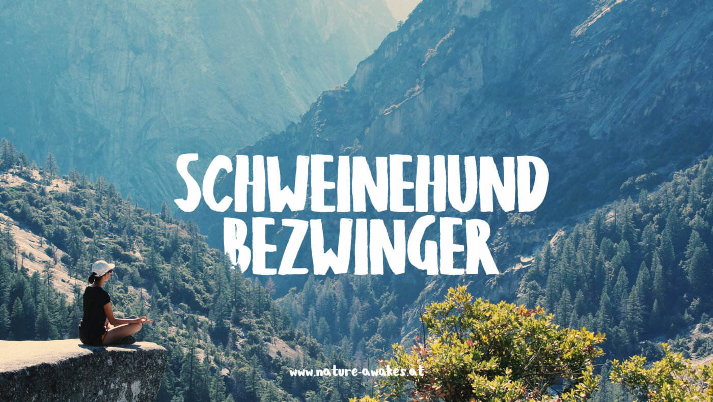 Schweinehundbezwinger Sujet