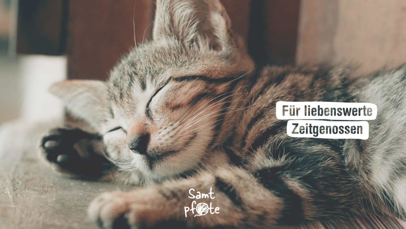 Liebenswerte Zeitgenossen