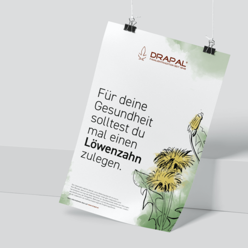 Projekt DRAPAL, rebellcreative.at